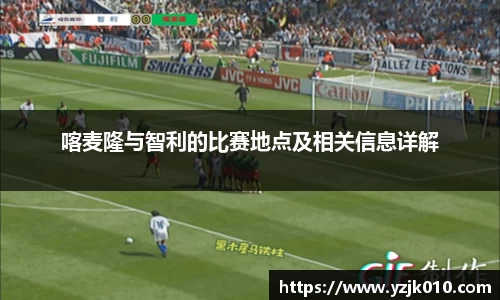 喀麦隆与智利的比赛地点及相关信息详解